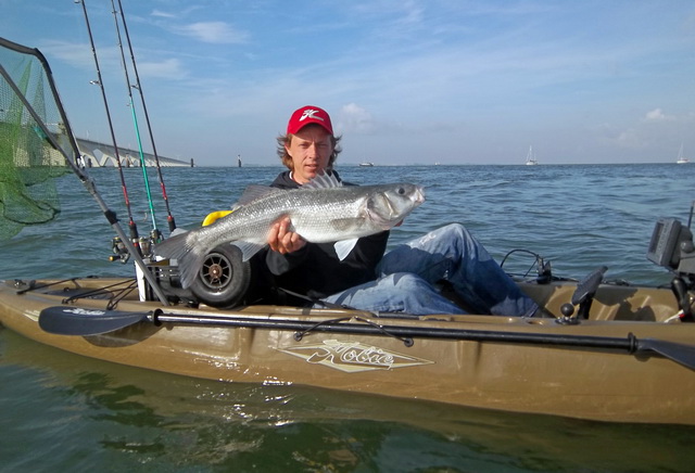 Een zeebaars van 80 cm gevangen in 2012! bij de Zeelandbrug wat tot op heden mijn huidige p.r. is.