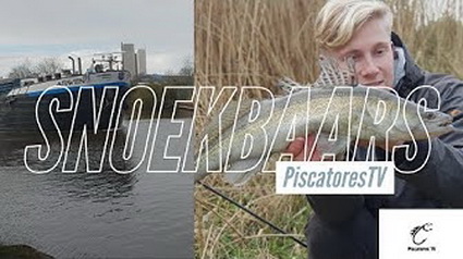 Achter de snoekbaarzen aan met Piscatores TV