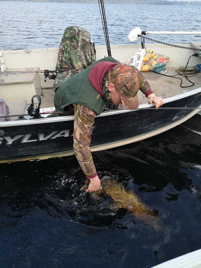 And of course Catch and Release and back to deeper water for a rest.