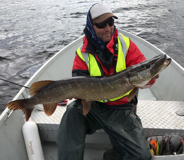  Hans with almost a 1 meter pike and we got 5 smaller ones in the 2 hours we fished some spots.