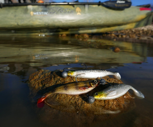 De meest succesvolle softbaits tijdens onze trip. De legendarische Shad Teez van Westin-Fishing