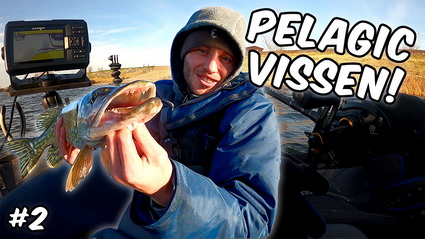 PELAGIC VISSEN OP SNOEKBAARS!