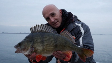 ST. MarcFishing. Werpend op baars, finesse technieken