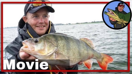 Evert Oostdam Perch Pro 4, CWC FISHING TEAM COMPILATION