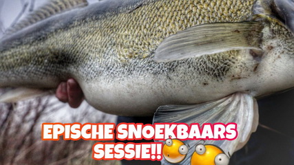 Snoekbaars vissen – EPISCHE DROP SHOT SESSIE