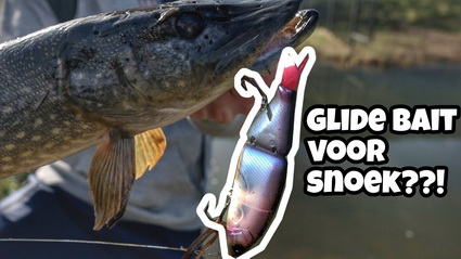 Snoek vissen met een Glide Bait! Lusten de NL snoeken dit kunstaas?