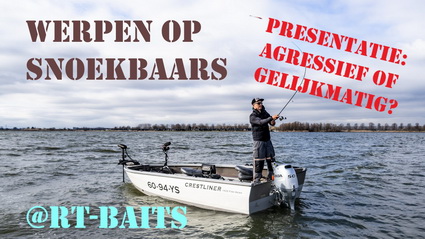 Werpen op snoekbaars, presentatie agressief of gelijkmatig?