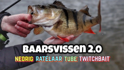 Baars vissen 2.0 Hoe vang je baars? Ned Rig, Tube, Twitchbait en Ratelaar.