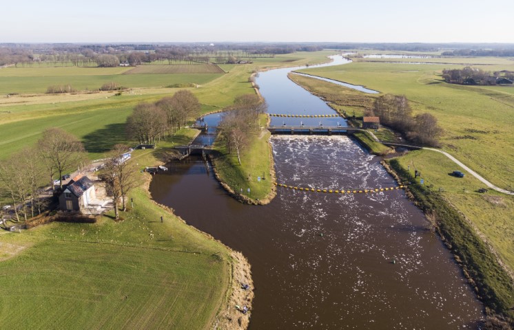 Bij stuw Vechterweerd kun je zomaar een Atlantische forel aantreffen.