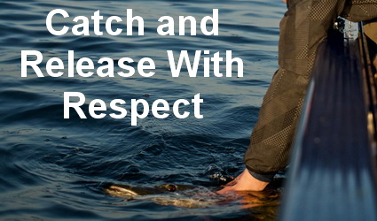 Catch and Release – With Respect.