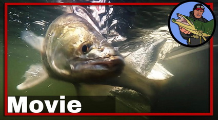 Video compilatie Zander Pro, CWC Fishing Team.