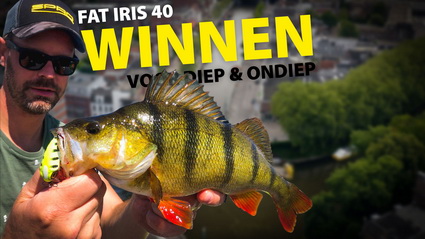 SPRO – Fat IRIS 40 – Voor Alle Rovers. Win actie.