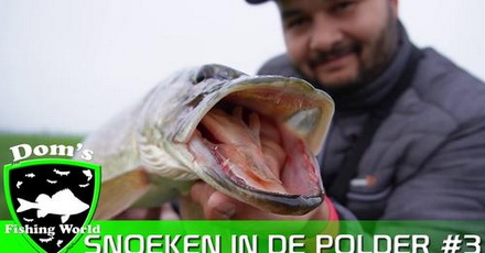 SNOEKVISSEN in de POLDER met kunstaas