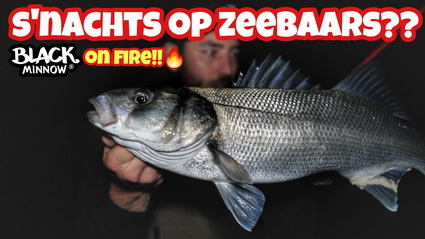 Zeebaars vissen in de nacht. De Fiiish BLACK MINNOW on Fire!