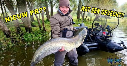 Nieuwe video Nick van Erpo. DIKKE MEERVAL OP EEN SHAD!