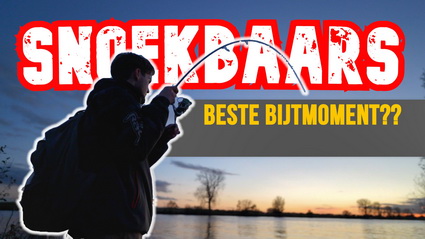 Video gericht op snoekbaars met de dropshot techniek!