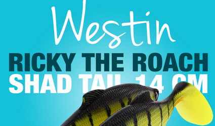 Nieuw binnen: Westin Ricky The Roach Shad tail.