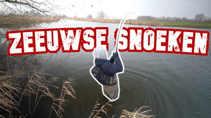 Video vissen op snoek in Zeeland.