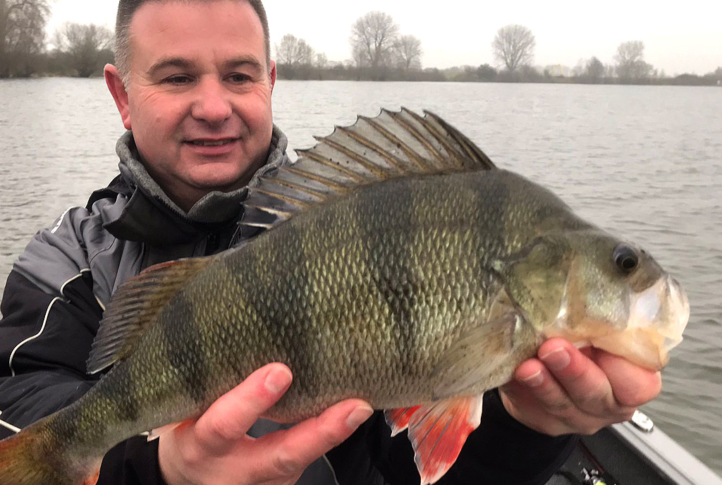 Bernard Hofmeijer met een mooie baars op de Ned Rig. Bernard Hofmeijer met een mooie baars op de Ned Rig.