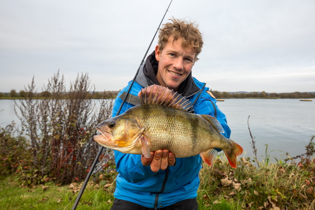 Dikke-baars-voor-Daniel vistv