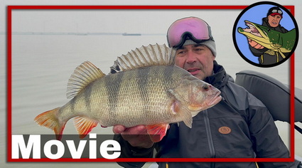 SNOEK(BAARS) VISSEN OP DE BODEM MET ZWARE LOODKOPPEN