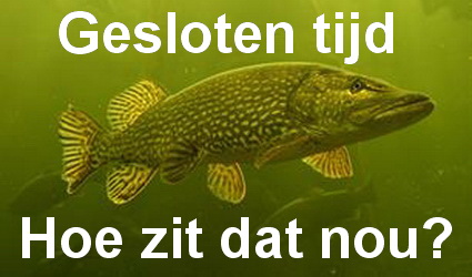 Gesloten tijd voor snoek vanaf 1 maart. Hoe zit dat nou?