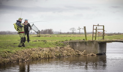 Poldersnoeken in het Groene Hart in VIS TV