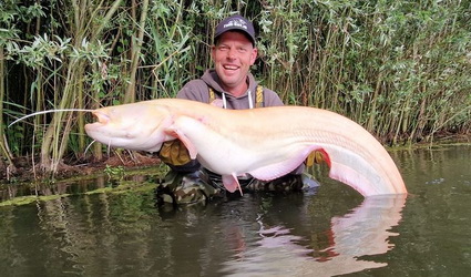 Albino meerval voor Mark Bentum!