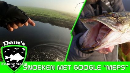 SNOEKVISSEN in de POLDER op nieuwe stekken.