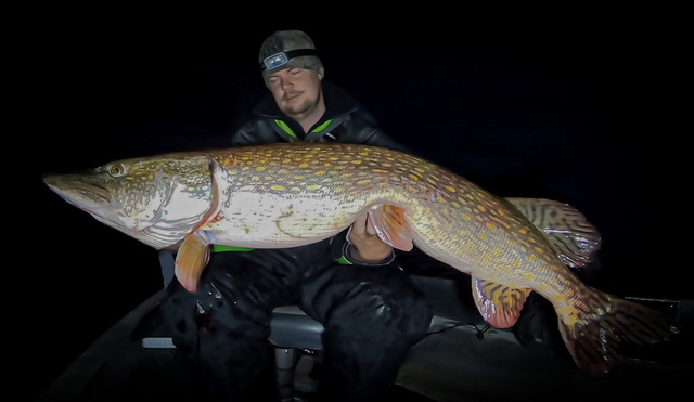 Pelagisch vissen grote snoek