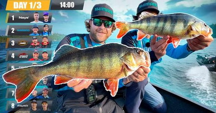 Aflevering 2 van PERCH PRO 9