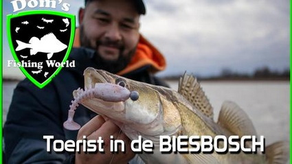 Toerist in de BIESBOSCH – Roofvissen ft. Marc Hoeben