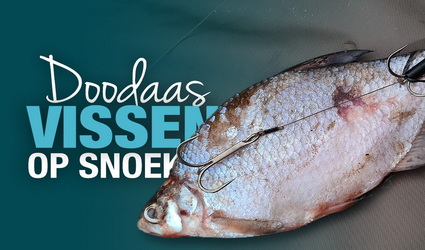 Dood aas vissen op snoek.