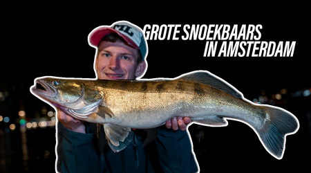 Vissen op grote snoekbaars in Amsterdam.