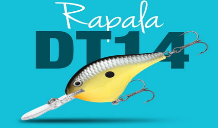 Nieuw van Rapala, Keitech, Shimano en Korda