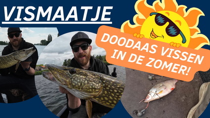 Vismaatje doodaas vissen in de zomer.
