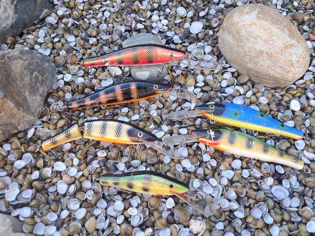De verschillende modellen Perch bait