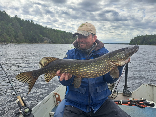 Op de drukkere meren in Dalsland een van de favorieten